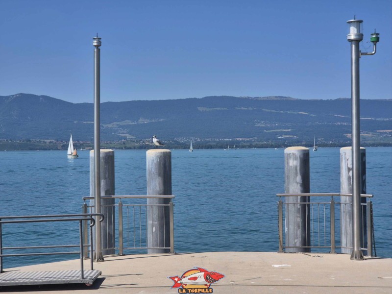  Débarcadère de Chevroux, lac de Neuchâtel, Broye-Vully, canton de Vaud.