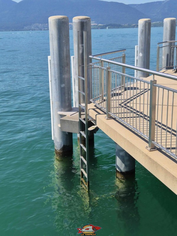  Débarcadère de Chevroux, lac de Neuchâtel, Broye-Vully, canton de Vaud.