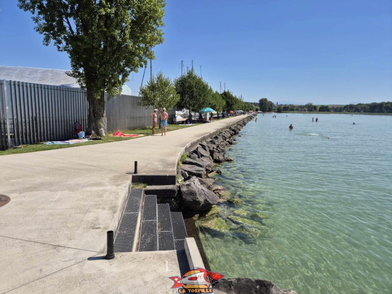 Enrochements. Plage de Chevroux, lac de Neuchâtel, Canton de Vaud.