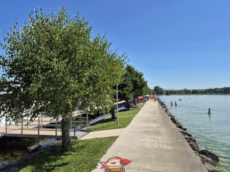 La jetée du port de Chevroux en direction de la plage. Débarcadère de Chevroux, lac de Neuchâtel, Broye-Vully, canton de Vaud.