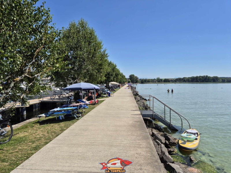 Enrochements. Plage de Chevroux, lac de Neuchâtel, Canton de Vaud.