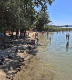 🏖️ Plage de Chevroux