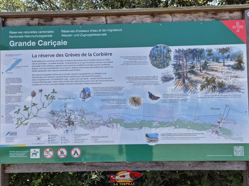 Un plan de l'une des huit réserves naturelles de la Grande Cariçaie : la réserve des Grèves de la Corbières. La plage de Chevroux se trouve au nord-est de cette réserve. Un plan de l'une des huit réserves naturelles de la Grande Cariçaie : la réserve des Grèves de la Corbières. La plage de Chevroux se trouve au nord-est de cette réserve.