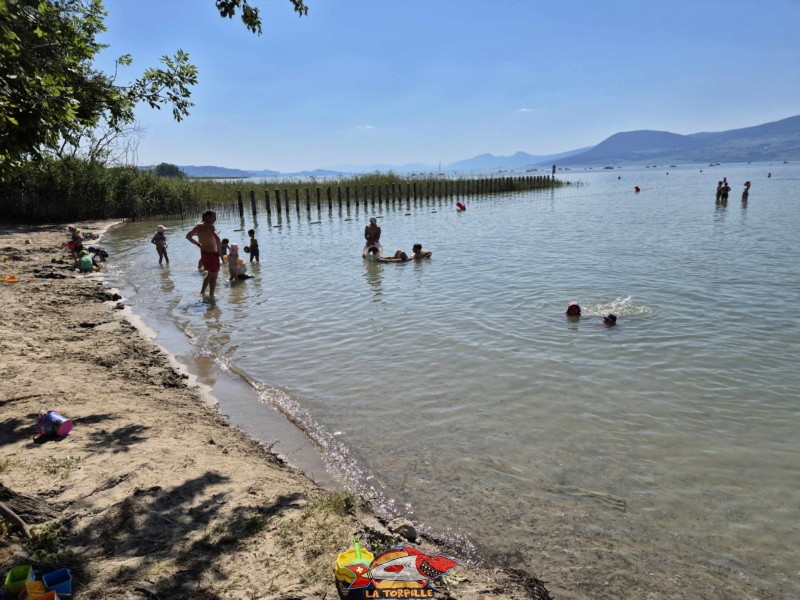 Zone de sable. Plage de Chevroux, lac de Neuchâtel, Canton de Vaud.