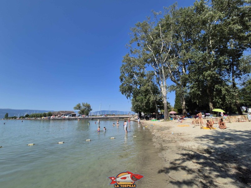 Zone de sable. Plage de Chevroux, lac de Neuchâtel, Canton de Vaud.