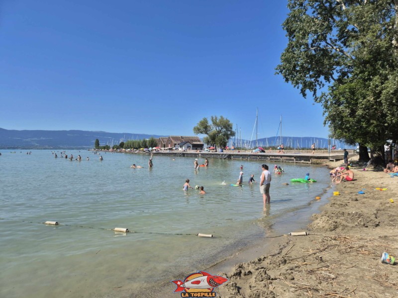 La plage de Chevroux au début de la jetée du port menant au débarcadère. Débarcadère de Chevroux, lac de Neuchâtel, Broye-Vully, canton de Vaud.