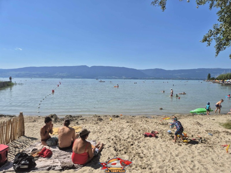 Zone de sable. Plage de Chevroux, lac de Neuchâtel, Canton de Vaud.