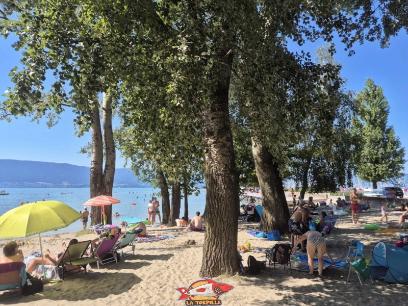 Zone de sable. Plage de Chevroux, lac de Neuchâtel, Canton de Vaud.