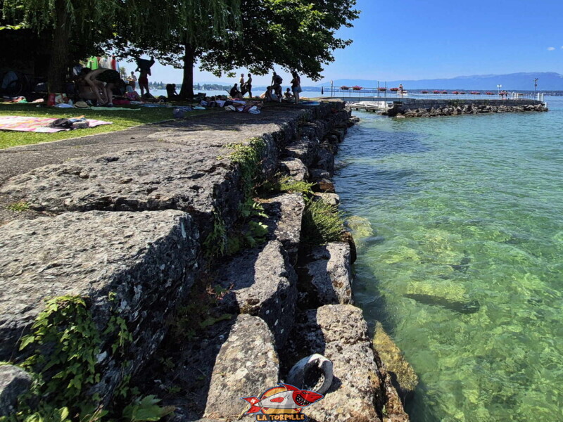 Les enrochements côté nord. Plage du Débarcadère d'Anières, canton de Genève, lac Léman.