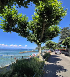 🏖️ Plage du Port de Corsier