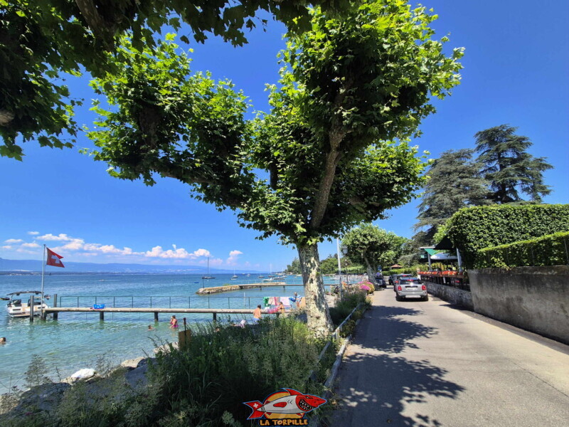Quai de Corsier. Plage du port de Corsier, canton de Genève.