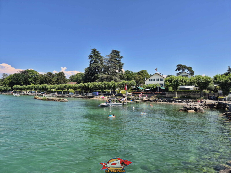Depuis débarcadère. Plage du port de Corsier, canton de Genève.