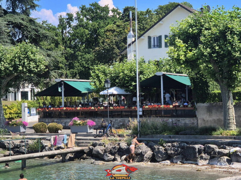 Le restaurant Le Petit Lac. Plage du port de Corsier, canton de Genève.
