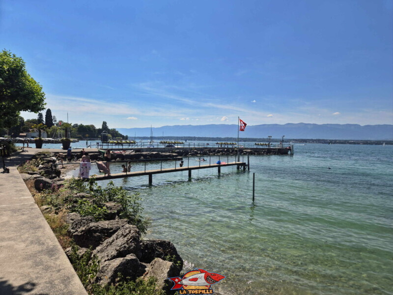 depuis Rivage Est. Débarcadère CGN de Corsier 