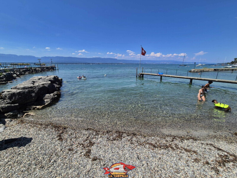 Depuis le quai. Plage du port de Corsier, canton de Genève.