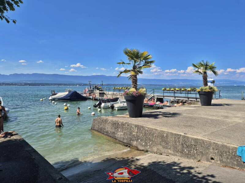 depuis Rivage ouest. Débarcadère CGN de Corsier 