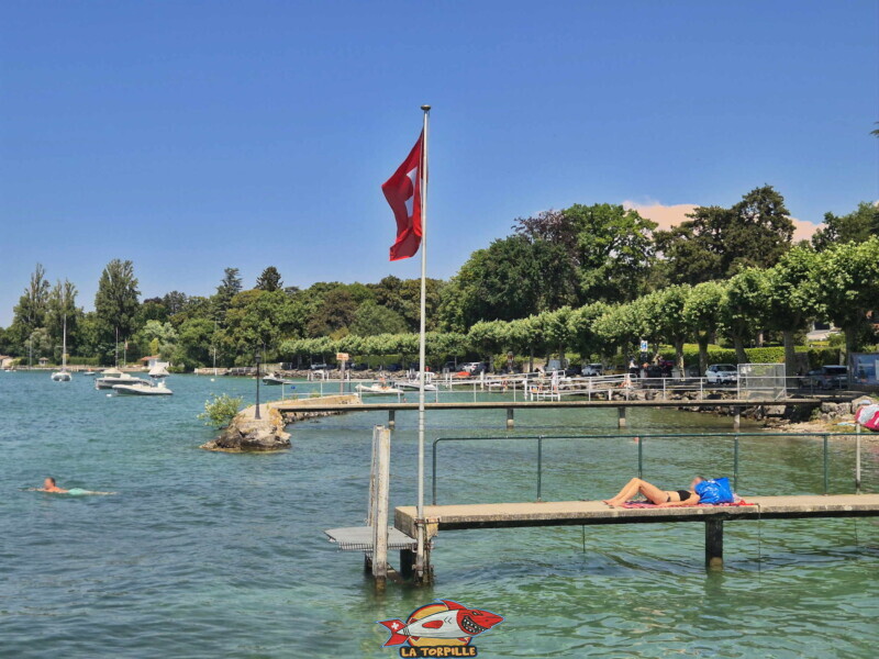 Depuis enrochements. Plage du port de Corsier, canton de Genève. Depuis enrochements. Les pontons de la plage de Corsier. Plage du port de Corsier, canton de Genève.
