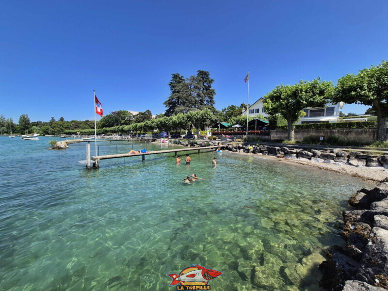 Depuis enrochements. Plage du port de Corsier, canton de Genève.