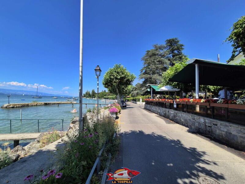 Quai de Corsier. Plage du port de Corsier, canton de Genève.