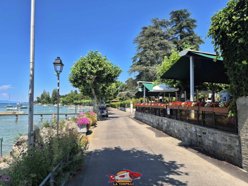 Le restaurant Le Petit Lac. Plage du port de Corsier, canton de Genève.