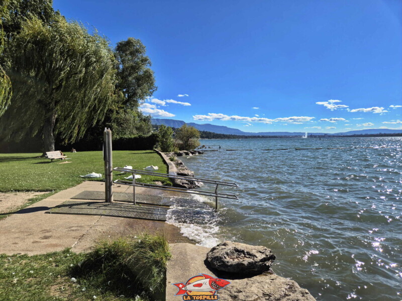 Le Jet d'eau depuis la plage de la Pointe-à-la-Bise, à Vésenaz. Le Jet d'eau depuis la plage de la Pointe-à-la-Bise, à Vésenaz.