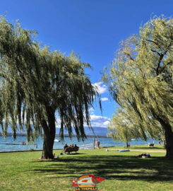 🏖️ Plage de la Pointe-à-la-Bise – Collonge-Bellerive