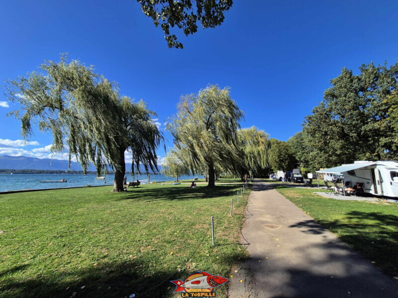 Le camping sur la droite et la plage de la Pointe-à-la-Bise sur la gauche, Le camping sur la droite et la plage de la Pointe-à-la-Bise sur la gauche,