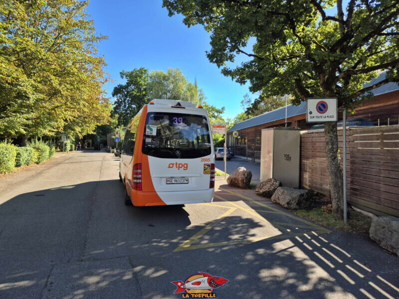 Un bus à l'arrêt "Pointe-à-la-bise". Plage de la Pointe-à-la-Bise - Collonge-Bellerive Un bus à l'arrêt "Pointe-à-la-bise". Plage de la Pointe-à-la-Bise - Collonge-Bellerive
