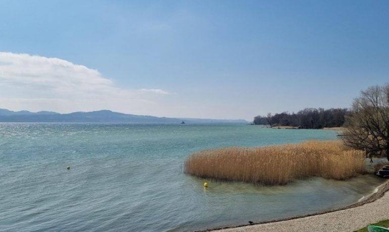 🏖️ Plage de la Môle – Concise