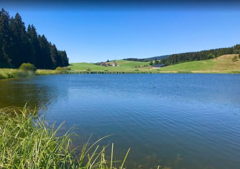 Le lac Ter entouré de Roseaux.