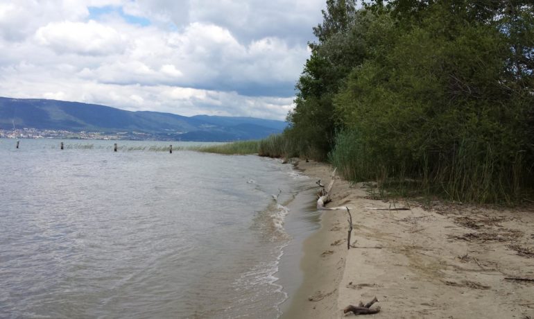 🏖️ Plage de Chabrey- Vully-les-Lacs
