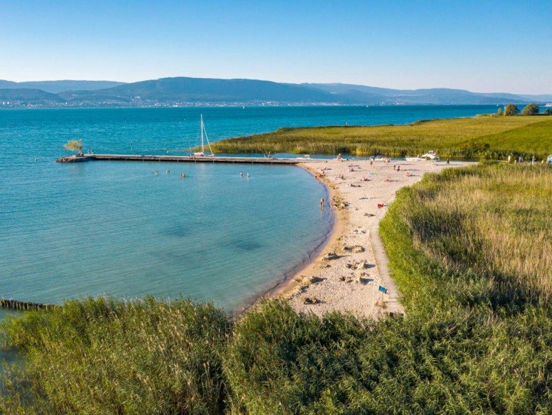 La plage de Gletterens au sein bordée par les roseaux de la Grande Cariçaise.