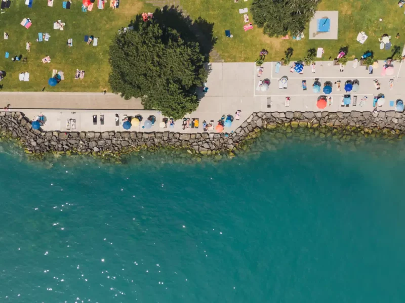 lac , pisicne de pully-plage