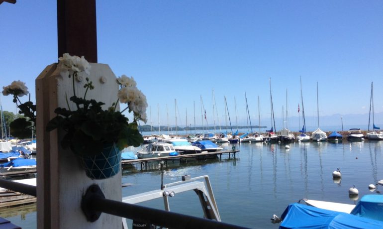 🌊 Société Nautique Rolloise