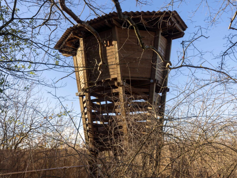 La tour d'observation. Photo : dansmanature.ch La tour d'observation. Photo : dansmanature.ch