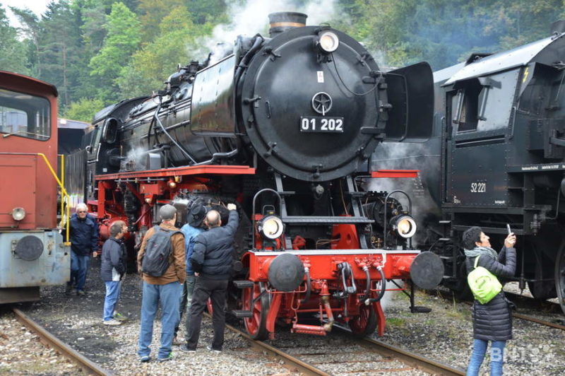 Des visiteurs regardant des locomotives au dépôt dans la localité de Saint-Sulpice.