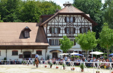 🐶 Haras National Suisse – Avenches