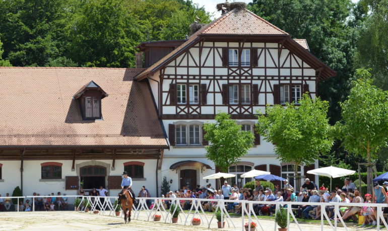 🐶 Haras National Suisse – Avenches