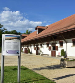 🐶 Haras National Suisse – Avenches