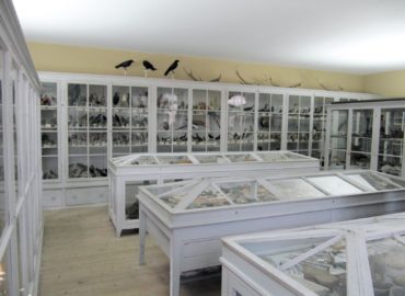 🐎👤🏠 Musée de l’Areuse – Boudry