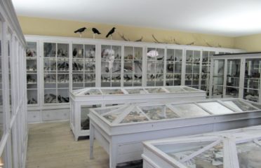 🐎🎭🏠 Musée de l’Areuse – Boudry