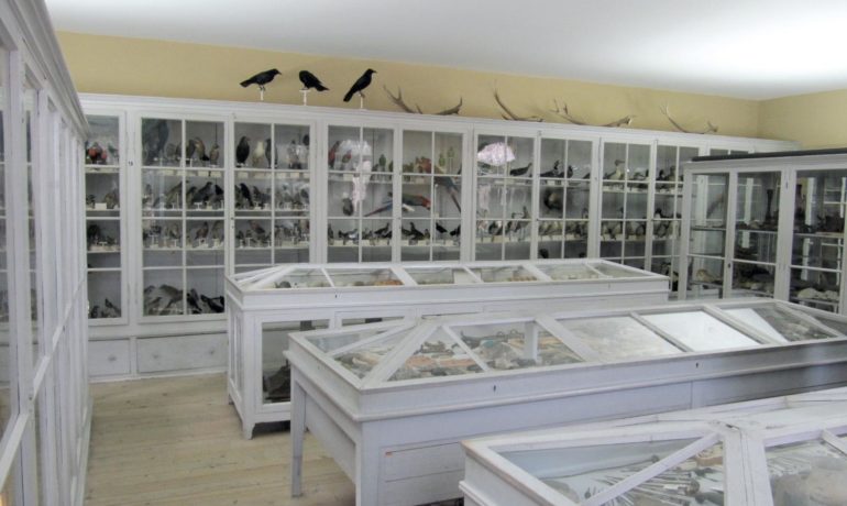 🐎👤🏠 Musée de l’Areuse – Boudry