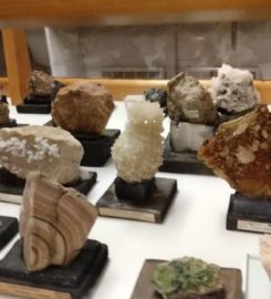 🔧 Musée des Minéraux et des Fossiles – Rougemont