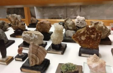 🔧 Musée des Minéraux et des Fossiles – Rougemont