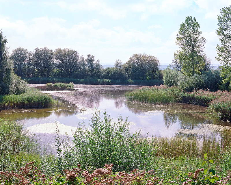 L'étang d'Arnex