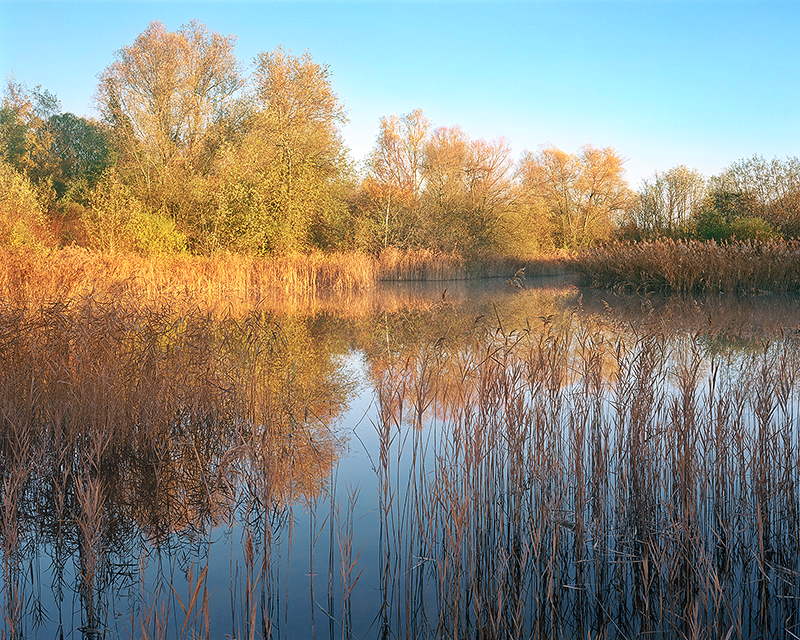 L'étang d'Arnex.