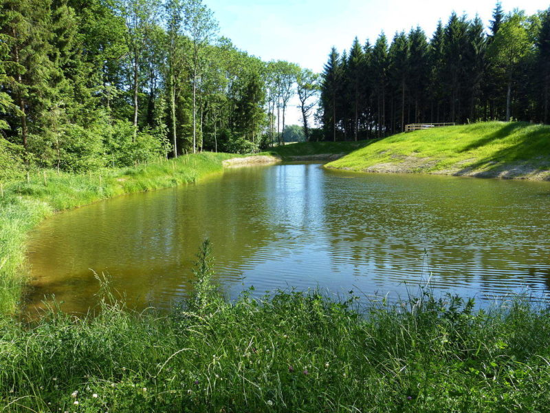 etang bois neuf 1