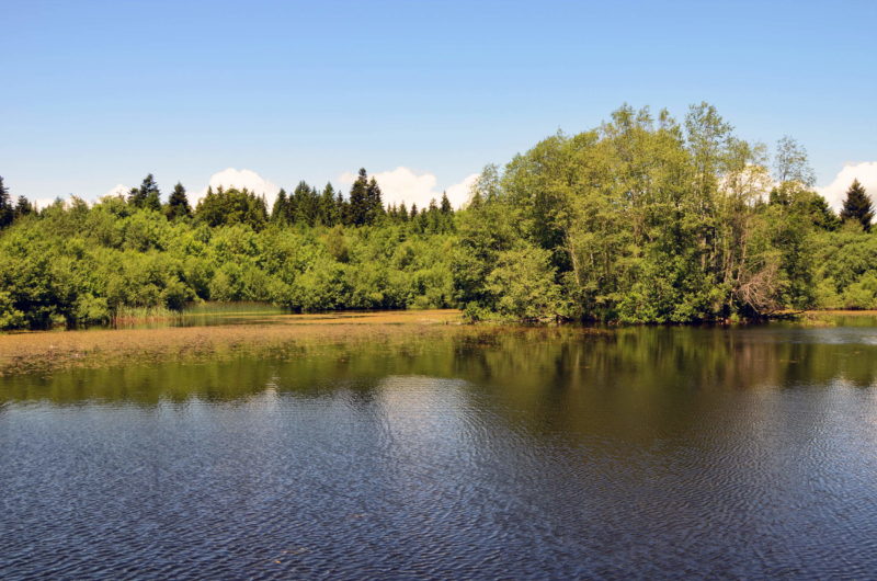 L'étang de la Bressonne.