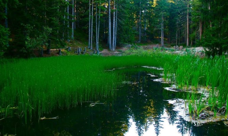 🚤 Etang des Briesses – Crans-Montana