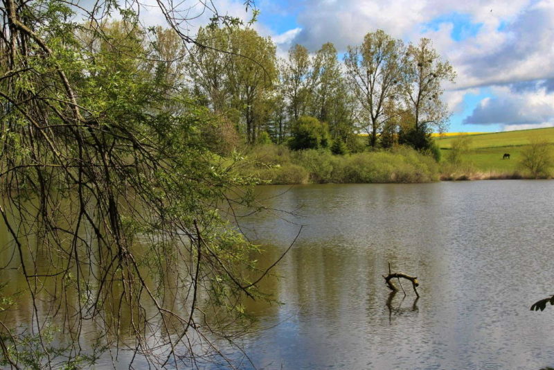 L'étang de la Tuilerie se trouve à quelques kilomètres à l'ouest de Fribourg